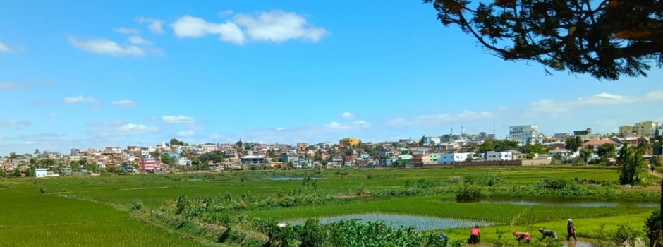 Vue d'ensemble - 2.jpg